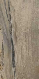 Exotic Stone Plank Tile