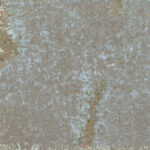 Vibrant Grey 6x6 Glossy Ceramic Tile