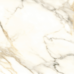 HF- Calacatta White 24x48 2cm (3/4) Paver