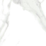 PMALL - Manaos Rectified Polished 24x48