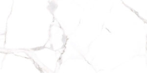 Alsacia 24x48 Polished Porcelain Tile