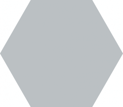 Carpenter Pearl Hexagon 5×6 Matte Ceramic Tile