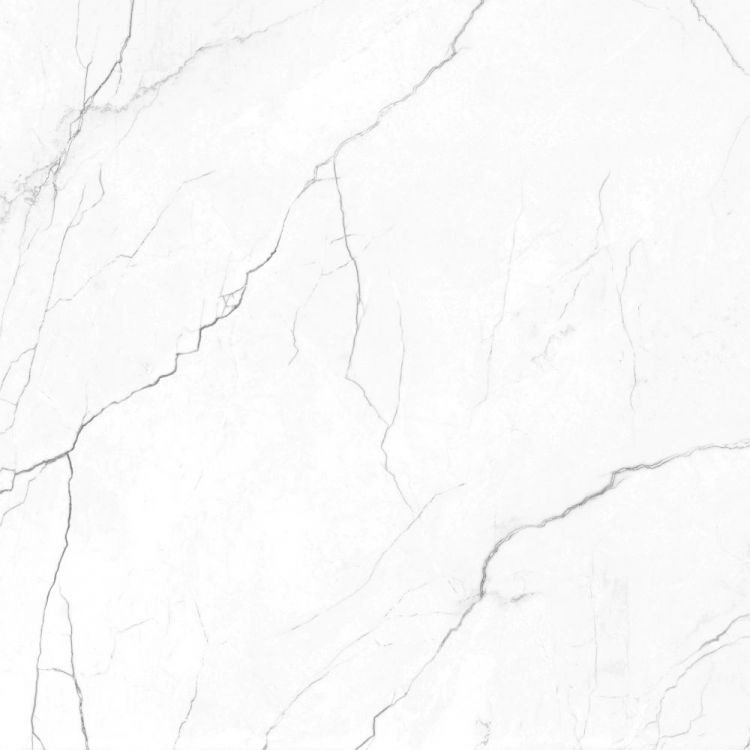 EC Elegance White 48×48 Matte Porcelain Tile
