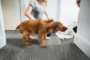 Woodhills Liora Oak Waterproof Wood Vinyl